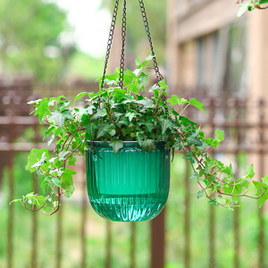 亲居吊篮花盆透明简约自动吸水懒人花盆水培植物悬挂式绿萝吊兰盆