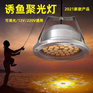 led水下筏钓桥筏诱鱼灯金黄光深水版鲢鳙翘嘴专用诱灯12v220v通用