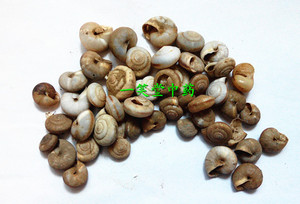 中药材蜗牛天螺蛳瓜牛蜗牛壳干货包邮500克