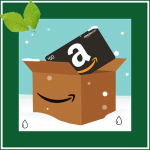美国亚马逊 美亚礼品卡 amazon giftcard 100美金 自用信用卡刷
