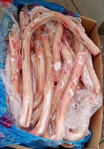 牛鞭 新鲜冷冻 黄牛鞭 整根 粗 干净 火锅烧烤食材 52斤 江浙包邮