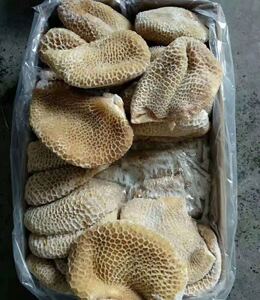 金钱牛肚