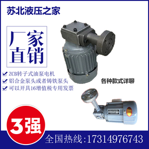 ZCB-0.8/1.2/2.5转子式油泵电机CB-1.4三相40/90/60/120W隔防爆