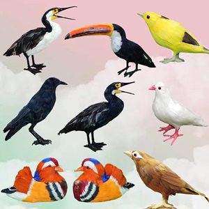 仿真黄鹂鸟画眉鸟鸬鹚乌鸦巨嘴鸟鹦鹉玩具羽毛小鸟装饰摆件鸟模型