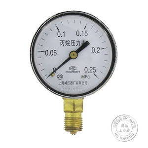 丙烷压力表yw60 丙烷减压器表头 上海减压器厂0.16-0.25-2.5-4