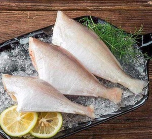 马面鱼 大号 扒皮鱼 冷冻新鲜 耗儿鱼 三去马面鱼 包冰9斤 包邮