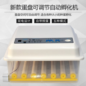 孔雀孵化机全自动小型