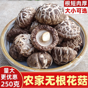精选无根花菇干货250g房县小花菇农家冬蘑菇食用菌特产非椴木香菇