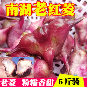 浙江嘉兴特产南湖菱四角红菱角带壳老菱角棱角米荾角肉生吃邻角