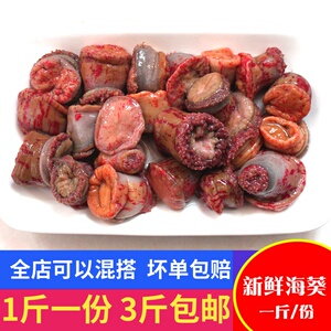 00和心法淘宝新鲜活沙蒜/星虫状海葵/一斤5到8个/活3天6人付款100.