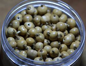 草菩提种子 草珠子种子 文玩草菩提 尿珠子 打腕籽 日进斗金菩提