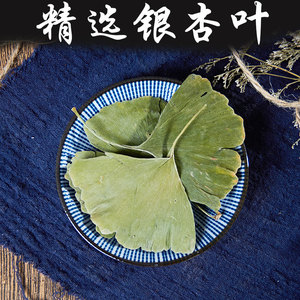 银杏叶中草药