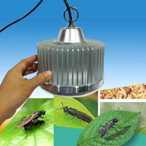 新升级黑水虻补光灯防烫伤虫子led模拟太阳光全光谱成虫交配产卵