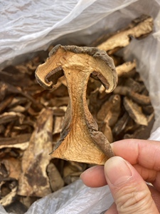 贵州特产正宗野生黑大脚干大脚菇美味牛肝菌煲汤食材干货200g