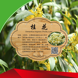 花草树名牌树牌标识牌树木简介悬挂牌亚克力园林牌绿化牌定制包邮