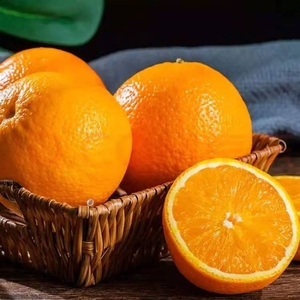 中华名果古蔺马蹄甜橙脐橙超甜10斤包邮