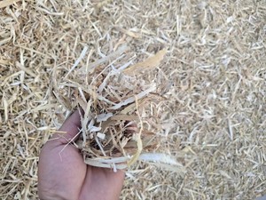 揉丝干玉米秸杆草块牛羊草料饲料，水份安全干白净无土无膜