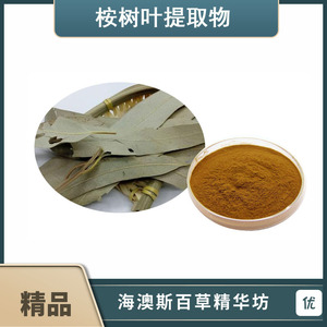 优惠价格 桉树叶提取物 天然桉树叶浓缩粉末 植物提取物精华20:1