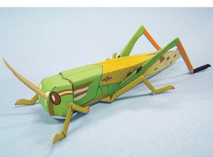 蚂蚱纸模型 diy手工折纸儿童玩具 仿真昆虫 蝗虫蚂蚱蚱蜢纸模型