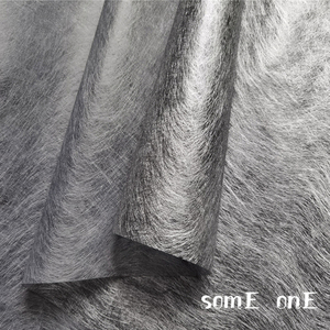 肌理布料 双面蝉翼白银色 设计师线性纹理布料 触感半透轻薄面料