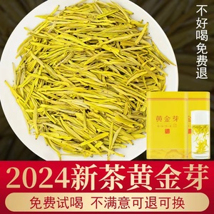 正宗黄金芽茶叶2024年新茶雨前特级吉安茶树白茶高山绿茶礼盒罐装