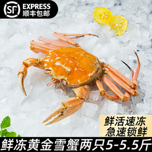 速冻黄金雪蟹两只5斤珍宝蟹面包蟹帝王蟹波龙奥龙包邮