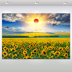 向日葵田园风景装饰壁画向阳花简约客厅卧室带框挂画红太阳风水画