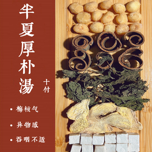 半夏厚朴汤 丸同仁堂原料10付梅核气憋闷半夏厚补汤 喉咙异物感茶
