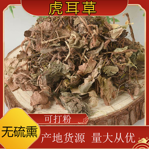 虎耳草中药