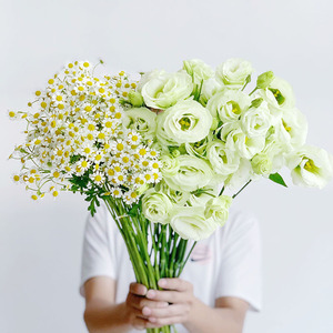 清新田园风洋甘菊洋桔梗组合鲜花拍照凹造型拍照花束水养花期长