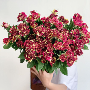 多头流星雨玫瑰花鲜花云南直发办公家用水养插花鲜切花真花礼品