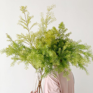 淘你所爱19799淘宝新鲜千层金黄金香柳渐变色配叶配花鲜切花枝条