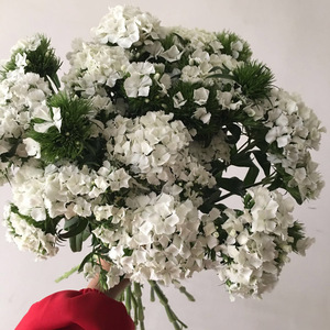 精品白色相思梅鲜花花束石竹梅百搭花篮花盒配花点缀花混搭常用