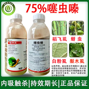 海特农化劲冲天75%噻虫嗪 水稻稻飞虱蚜虫白粉虱蓟马农药杀虫剂