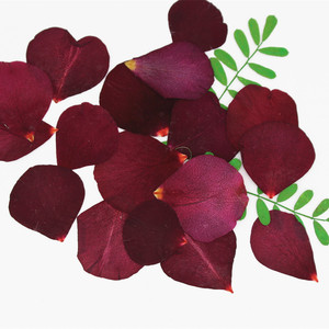 天然真花红色玫瑰花瓣干花植物标本diy手工手机壳发饰美妆押花画