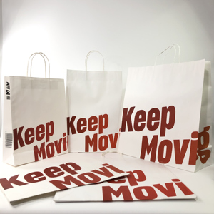 【包邮】安踏大号中号手提袋anta纸袋服装袋鞋子高档礼品鞋盒袋