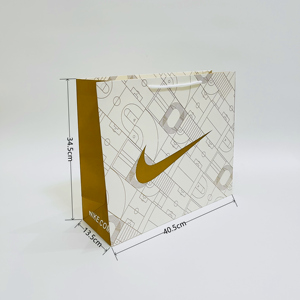 龙帅伟业淘宝新款耐克环保袋无纺布手提袋子nike鞋盒适用礼品购物