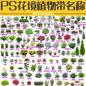 2024高清ps花境设计植物免扣psd素材PS花境植物带名称ps分层素材
