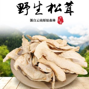 野生松茸菇野生菌菇干货云南特产香格里拉松茸菌鲜松茸干片250g