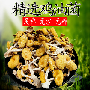 鸡油菌干货500克云南菌子新鲜榆黄蘑干菇菌菇煲汤香菇菌磨菇类