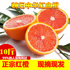 农家中华红橙新鲜水果现摘10斤大果红心肉血橙雪橙宜昌纯甜整箱10