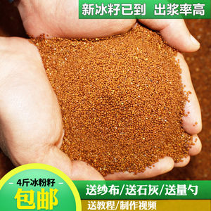 凉粉籽手搓冰粉籽