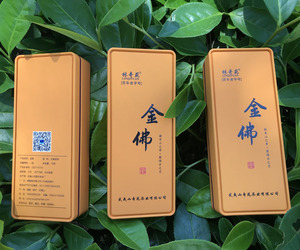 【新茶上市 金佛 270克】武夷山正岩茶叶特产