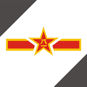 汽车反光贴纸防雨水八一五角星1034中国空军战斗机机身标志