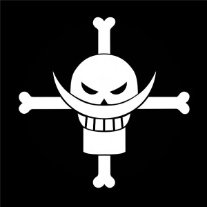 防雨水反光汽车贴纸车身动漫535海贼王系列one piece白胡子海贼团