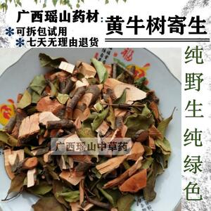 广西瑶山野生黄牛树寄生 黄牛茶寄生 黄芽木寄生 干品 可订采鲜品