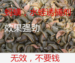 水蛭蚂蝗捕捞剂捕捞药 水蛭蚂蟥诱捕剂 龙虾黄鳝泥鳅 饵料 250克
