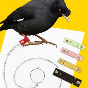 斑鸠拌脚套a鸟脚链皮套乌鸦鹩哥鹰鸽子脚套鸟链脚环护脚