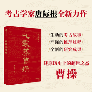 此处葬曹操 唐际根著文献与考古对证 科技与人文融合 曹操高陵遗址博物馆馆长孔德铭 鼎力推荐 写给大众的通识读本