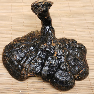 精选野生灵芝反柄背柄紫芝整枝紫灵芝干货药材泡酒250克切片打粉